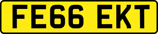 FE66EKT