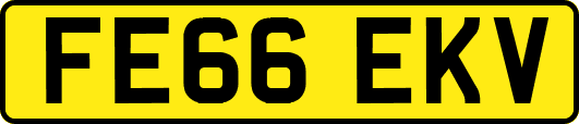 FE66EKV
