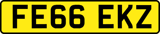 FE66EKZ