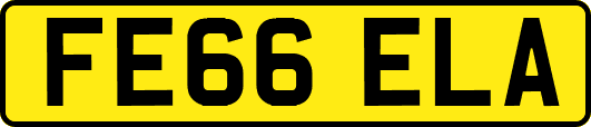 FE66ELA