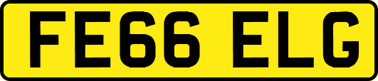 FE66ELG
