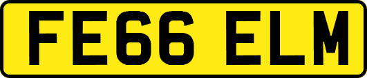 FE66ELM
