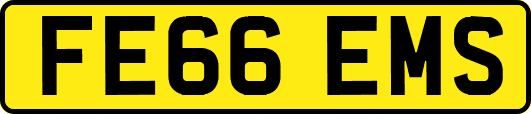 FE66EMS