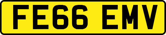 FE66EMV