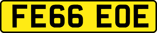 FE66EOE