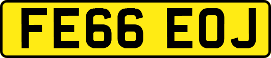 FE66EOJ