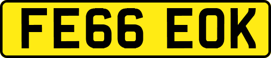 FE66EOK