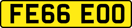 FE66EOO