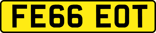 FE66EOT