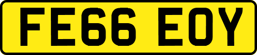 FE66EOY