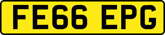 FE66EPG