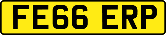 FE66ERP