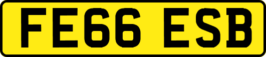 FE66ESB