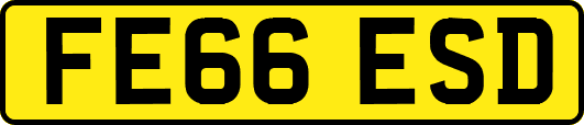 FE66ESD