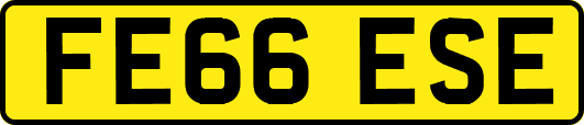 FE66ESE