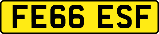 FE66ESF
