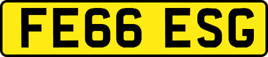 FE66ESG