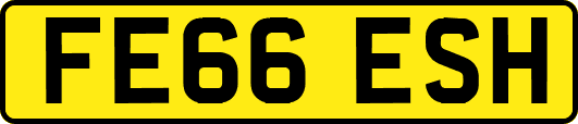 FE66ESH