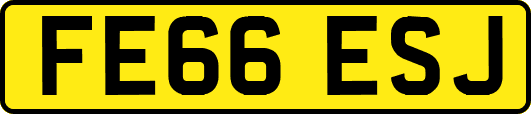 FE66ESJ