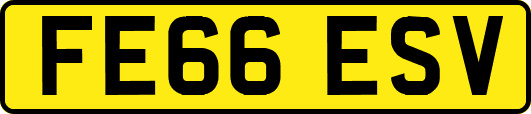 FE66ESV