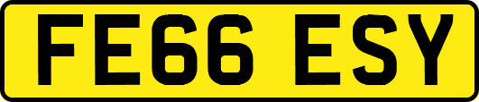 FE66ESY