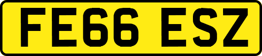 FE66ESZ