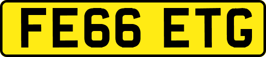 FE66ETG