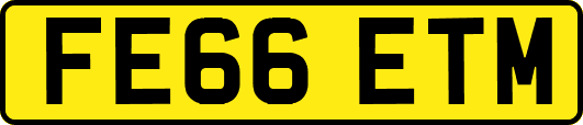 FE66ETM