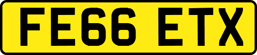 FE66ETX