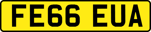 FE66EUA