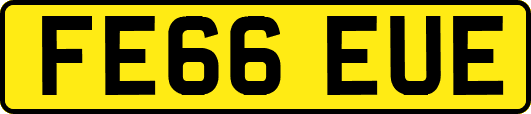 FE66EUE