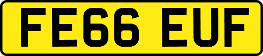 FE66EUF