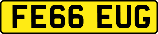 FE66EUG