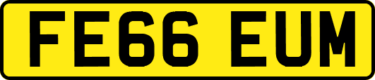 FE66EUM