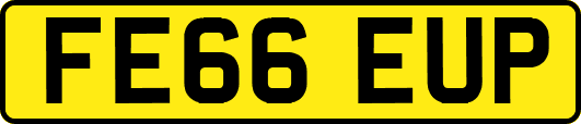FE66EUP
