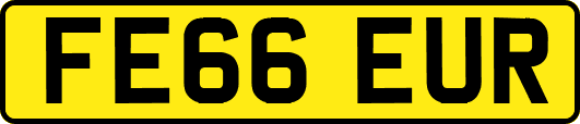 FE66EUR