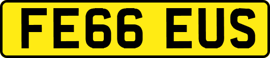 FE66EUS