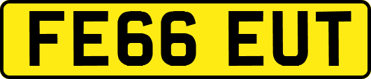 FE66EUT