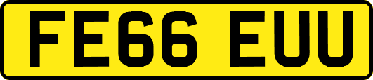 FE66EUU