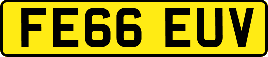 FE66EUV