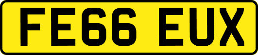 FE66EUX