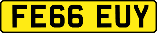 FE66EUY