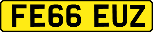 FE66EUZ