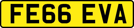 FE66EVA