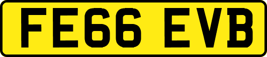 FE66EVB