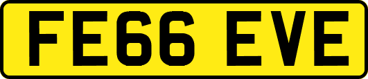 FE66EVE