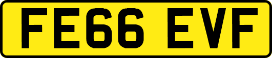 FE66EVF