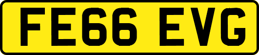 FE66EVG