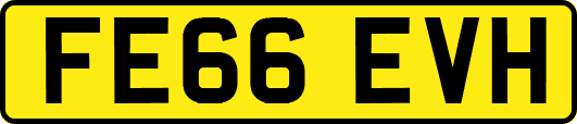 FE66EVH
