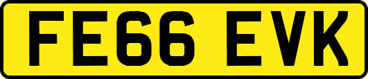 FE66EVK